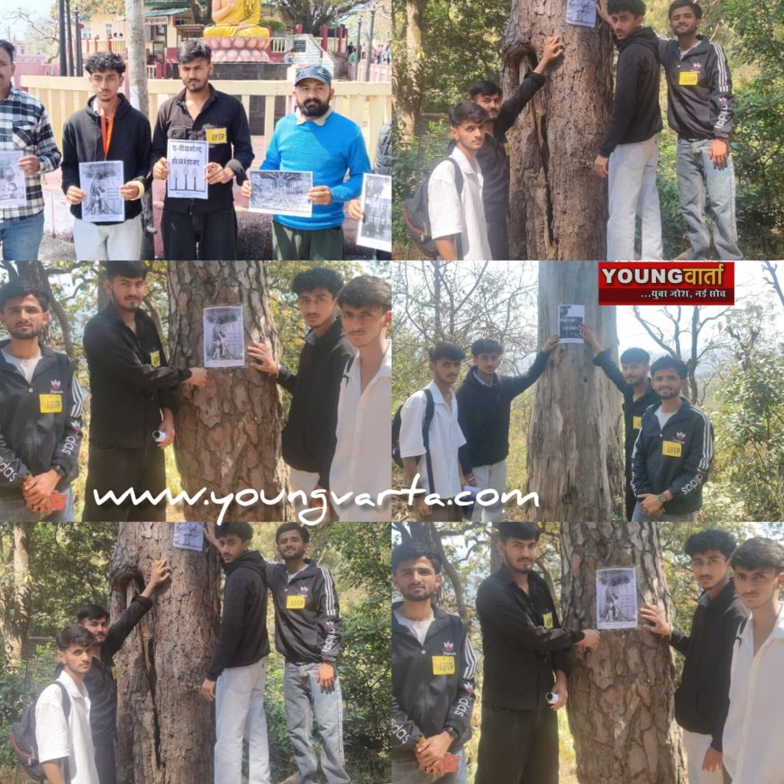 वनों को बचने की एबीवीपी की अनोखी पहल , पेड़ों पर चिपकाए वन संरक्षण के पोस्टर, शिलाई में हुए पेड़ों के कटान पर जताई चिंता