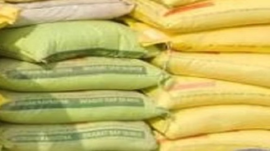 एशिया युद्ध का असर : प्रदेश में रबी और सेब सीजन के बीच यूरिया खाद का संकट 