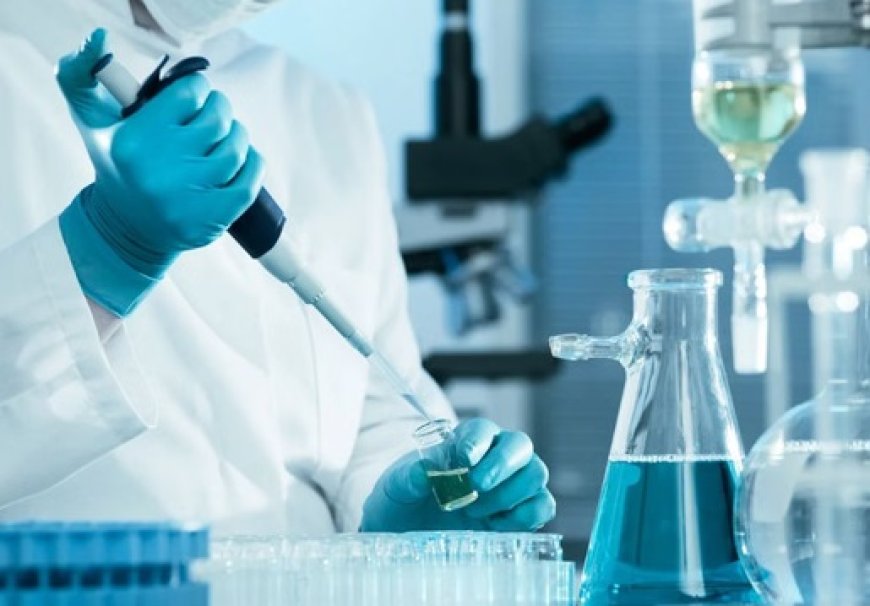 प्रदेश की एकमात्र कंडाघाट स्थित सीटीएल लैब की जांच रिपोर्ट अब पूरे देश में होगी मान्य  