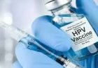 सिरमौर में दूसरे दिन भी HPV वेक्सिनेशन जारी,जिला के सभी 6 स्वास्थ्य खण्डों में किया जा रहा वेक्सिनेशन