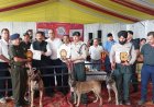 हरोली उत्सव के तीसरे दिन डॉग शो रहा मुख्य आकर्षण