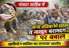 पांवटा साहिब में वन्य जीव अवशेष बरामदगी मामले ने पकड़ा तूल , एसपी से मिलने पहुंचे ग्रामीण , साजिश रचने के आरोप
