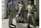 पांवटा साहिब में बेकवर्ड लिंकेज में 7440 नशीले कैप्सूल के साथ तीसरा आरोपी भी गिरफ्तार