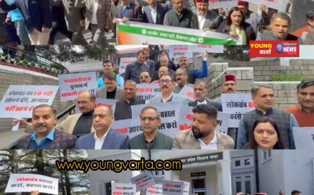 हिमाचल प्रदेश विधानसभा परिसर में भाजपा का प्रदर्शन , पंचायत चुनाव में देरी के आरोप, सुक्खू सरकार पर साधा निशाना
