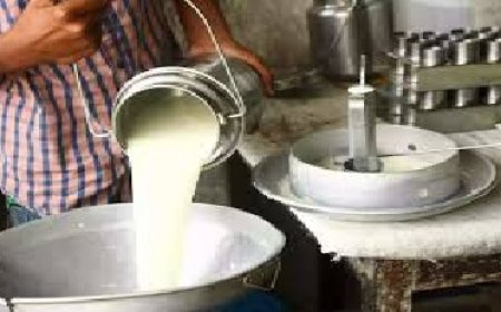 दूध के बढ़े दामों से पशुपालकों की बढ़ी उम्मीद, आर्थिकी को मिलेगा सहारा