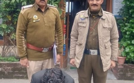 शिमला में चिट्टे की बड़ी खेप बरामद, 288 ग्राम चिट्टा बरामद