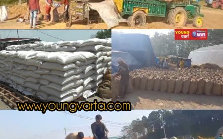 आठ अप्रैल से शुरू होगी गेहूं की सरकारी खरीद , सरकार ने तय किया 2550 रुपये प्रति क्विंटल एमएसपी 