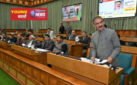 बीपीएल के बाद अब दो घरेलू मीटरों पर 250 यूनिट फ्री बिजली , हिमाचल सरकार ने उपभोक्ताओं की दी राहत 