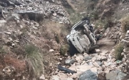 नौहराधार तहसील के चाढ़ना के समीप सड़क हादसे में दो लोगों की मौत,एक गंभीर रूप से घायल