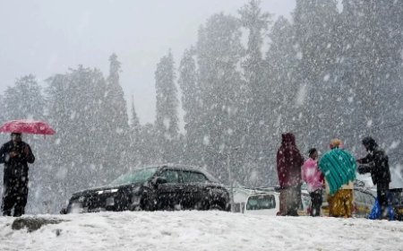 प्रदेश के कई हिस्सों में मौसम का बदला मिजाज,कई जगह बारिश और ओलावृष्टि  