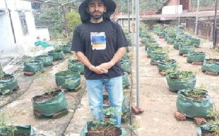 शिमला के बड़श में छत पर बगीचा उगाने वाले युवा इंजीनियर मनन शर्मा युवाओ के लिए बने प्रेरणा स्त्रोत 