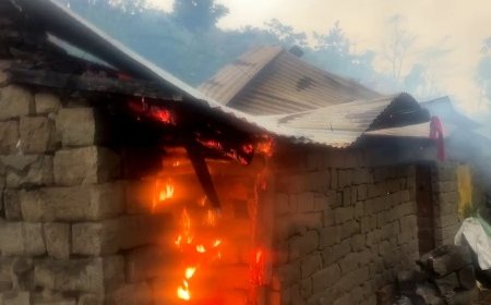 बारिश और ओलावृष्टि के बीच मंडी के कोटली में आसमानी बिजली गिरने से गौशाला जलकर राख 