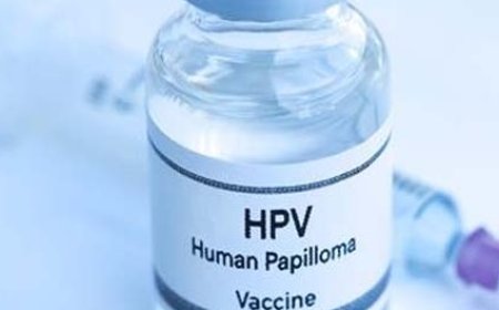 प्रदेश की बेटियों को विदेश यात्रा के लिए HPV प्रमाण-पत्र अनिवार्य नहीं