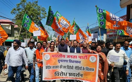 प्रदेशभर में फेल साबित हो रही सुक्खु सरकार, हर वर्ग खुद को ठगा हुआ महसूस कर रहा : राकेश जमवाल 