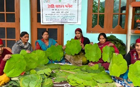 सफलता की कहानी : ज्योति स्वयं सहायता समूह की महिलाएं बनी स्वाबलंबी,पत्तल के काम से कमा रही दस हजार 