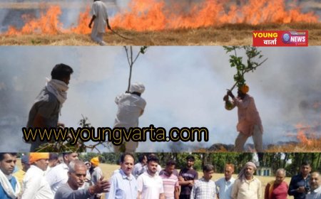 पांवटा साहिब में आग की भेंट चढ़ी 30 बीघा में गेहूं की फसल , बिजली की शार्ट सर्किट से हुआ हादसा 