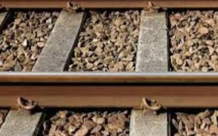 भानुपल्ली-बिलासपुर-बैरी रेल लाइन परियोजना को लेकर रेल विकास निगम ने ताजा प्रगति रिपोर्ट की जारी  