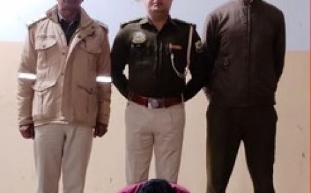 शिमला पुलिस ने एक संगठित अंतरराज्यीय नेटवर्क का किया पर्दाफाश,चिट्टा मामले में मुख्य सप्लायर बिजनौर से गिरफ्तार