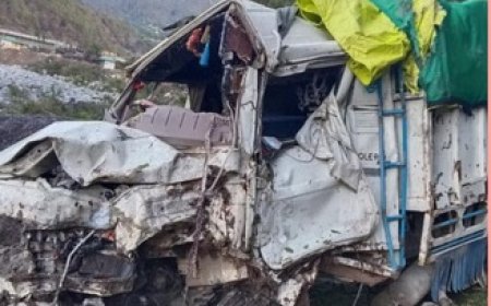 दर्दनाक : पालमपुर में एगहरी खाई में गिरी गाड़ी,हादसे में दो युवकों की मौत जबकि एक अन्य घायल