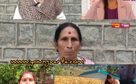 प्राकृतिक खेती को मिला सरकार का सहयोग , अकेले जिला मंडी में जुड़े 23 हजार से अधिक नए किसान