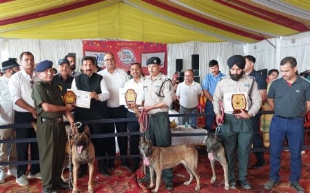 हरोली उत्सव के तीसरे दिन डॉग शो रहा मुख्य आकर्षण