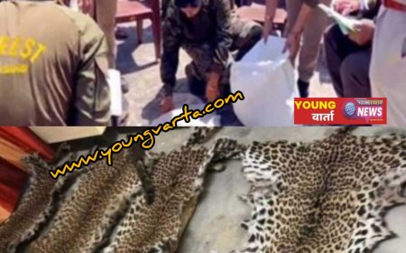 पांवटा साहिब में तेंदुए की खाल, पंजे और मूंछें बरामद , मामला दर्ज कर जांच में जुटी खाकी 