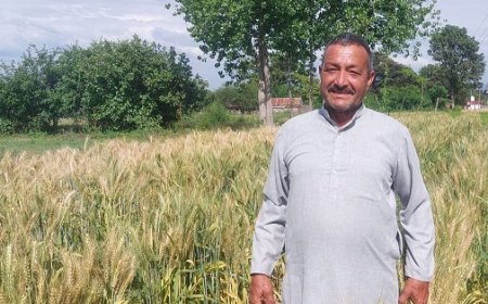 प्राकृतिक खेती को बड़े पैमाने पर बढ़ावा दे रही सुक्खू सरकार, एमएसपी बढ़ने से किसानों में बढ़ा भरोसा