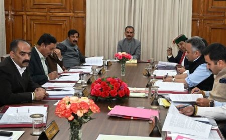 किसानों को तोहफा! मक्की, गेहूं, धान, हल्दी और अदरक पर MSP मंजूर,विभिन्न विभागों में करीब 1500 पद सृजित करने को मंजूरी