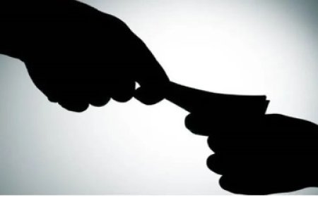 हिमाचल प्रदेश वन विभाग में ईको टूरिज्म गतिविधियों के नाम पर कथित अवैध वसूली