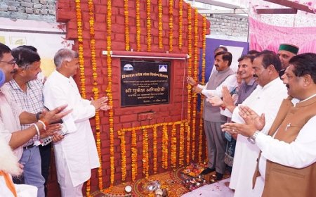 उपमुख्यमंत्री ने 37 करोड़ के घालूवाल-झलेड़ा डबल लेन पुल का किया शिलान्यास