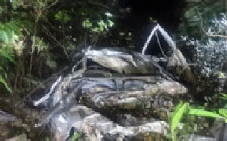 प्रदेश में करसोग-शिमला सड़क पर एक गाड़ी दुर्घटना,हादसे में दो युवकों की मौत