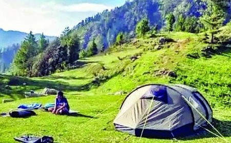 राज्य में 50 ईको टूरिज्म साइट्स को चिन्हित करने की प्रक्रिया वन विभाग ने की आरंभ  