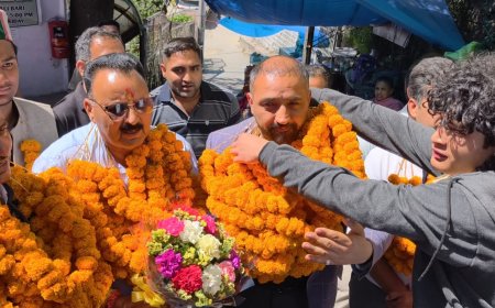 कांग्रेस के घड़ियाली आंसू और फर्जी वीडियो का जनता देगी जवाब, डॉ. बिंदल के खिलाफ साजिश नाकाम - 2027 तक कांग्रेस सूपड़ा साफ : कर्ण नंदा