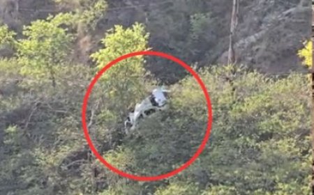 पंडोह डैम के पास खाई में गिरी कार, एक की मौत, तीन घायल