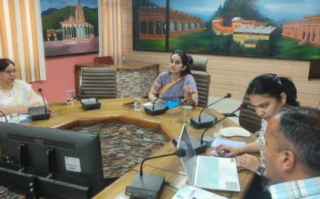 जनगणना के दौरान हो डाटा का सही एकत्रीकरण एवं एंट्री : गंधर्वा राठौड़