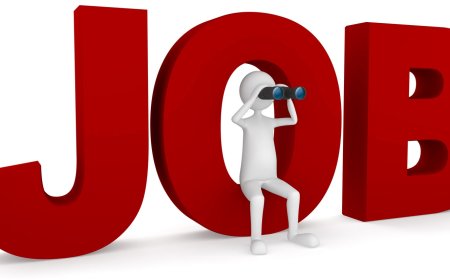 शारीरिक शिक्षा अध्यापक (सी एंड वी) के 39 पदों पर बैचवाइज वाइज होगी भर्ती, 29 अप्रैल तक करें ऑनलाइन पंजीकरण