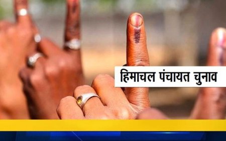 हिमाचल पंचायत चुनाव : आज बजेगा बिगुल, राज्य निर्वाचन आयोग ने बुलाई प्रेस वार्ता