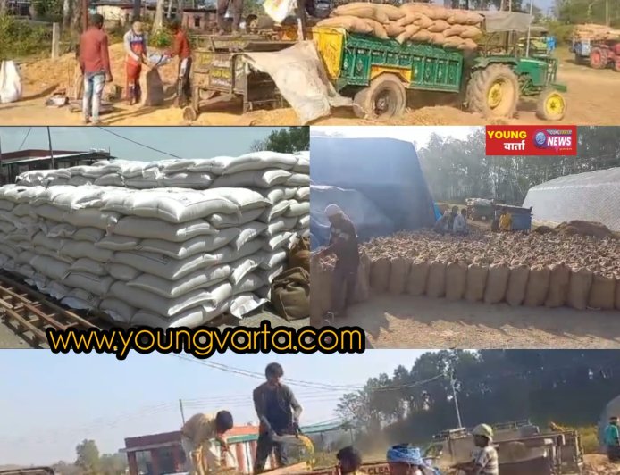 आठ अप्रैल से शुरू होगी गेहूं की सरकारी खरीद , सरकार ने तय किया 2550 रुपये प्रति क्विंटल एमएसपी 