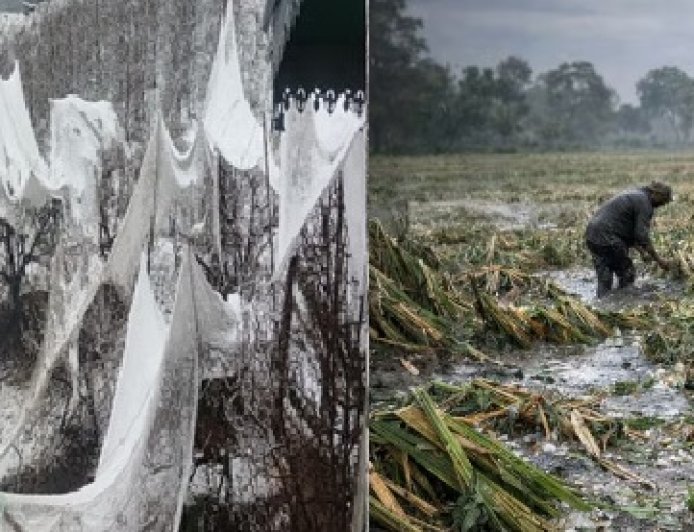 हिमाचल में बेमौसमी बारिश, बर्फबारी और ओलावृष्टि से किसानों की फसलें तबाह, सेब-गेहूं को भारी नुकसान