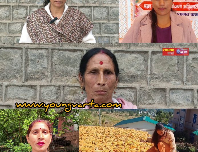 प्राकृतिक खेती को मिला सरकार का सहयोग , अकेले जिला मंडी में जुड़े 23 हजार से अधिक नए किसान