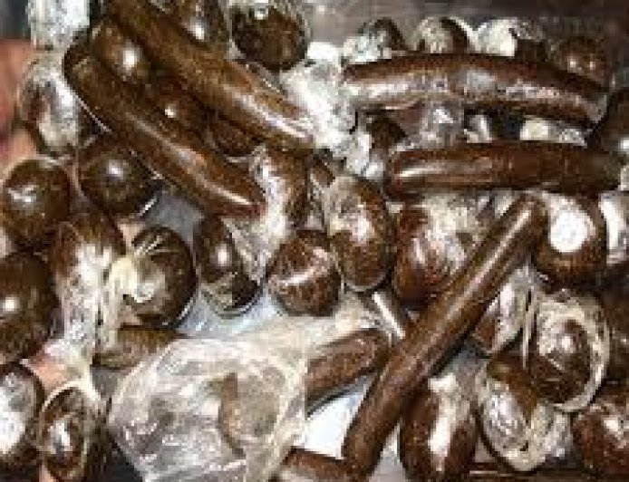 निजी बस से चरस बरामद , मामला दर्ज कर जांच शुरू , पुलिस ने राजगढ़ सोलन पर लगाया था नाका