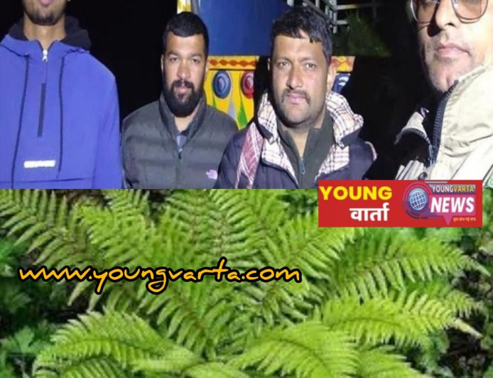 एक क्विंटल फर्न के साथ आरोपी गिरफ्तार , दुर्लभ प्रजाति की वनस्पति हो हो रही थी तस्करी