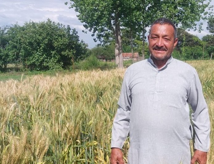 प्राकृतिक खेती को बड़े पैमाने पर बढ़ावा दे रही सुक्खू सरकार, एमएसपी बढ़ने से किसानों में बढ़ा भरोसा