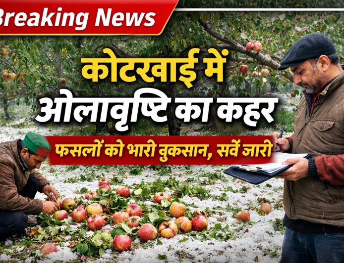 कोटखाई में ओलावृष्टि से नुकसान का सर्वे जारी , पटवारी तैयार कर रहे नुक्सान की रिपोर्ट  