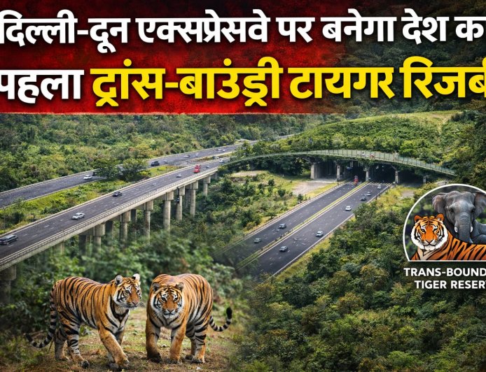 दिल्ली-दून एक्सप्रेसवे पर बनेगा देश का पहला ट्रांस-बाउंड्री टाइगर रिजर्व , वन्यजीव संरक्षण को मिलेगी नई दिशा