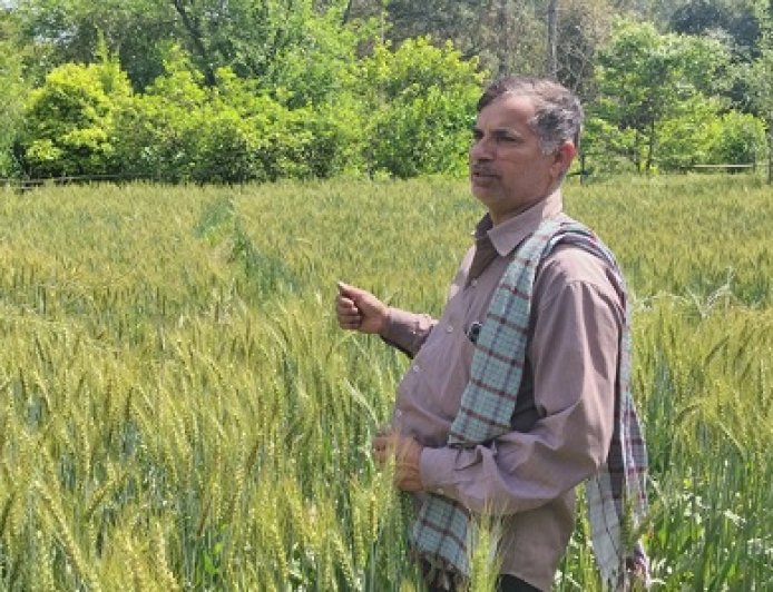 गेहूं, मक्की और हल्दी के दाम बढ़ने से संजीव और अन्य किसान गदगद
