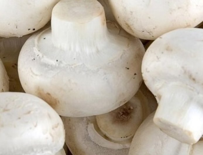 मशरूम खाद के अवशेषों से बिल्डिंग ब्लॉक होंगे तैयार,डीएमआर सोलन ने इस पर शुरू किया काम 