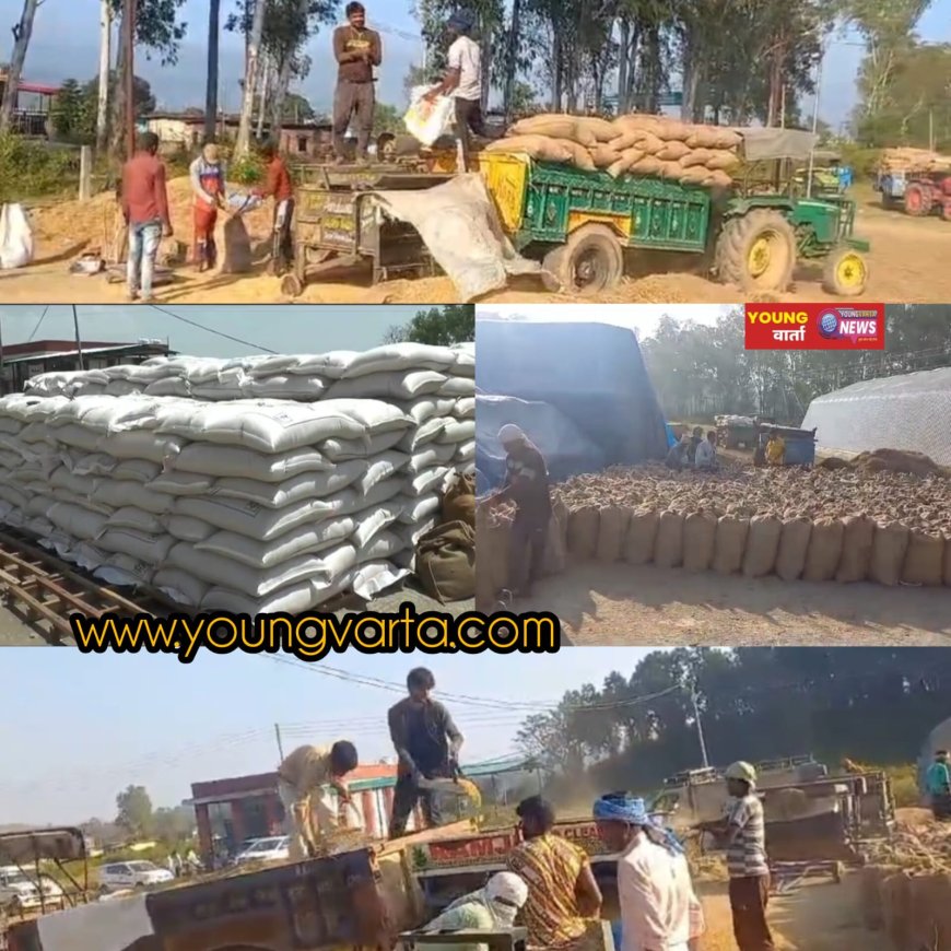 आठ अप्रैल से शुरू होगी गेहूं की सरकारी खरीद , सरकार ने तय किया 2550 रुपये प्रति क्विंटल एमएसपी 