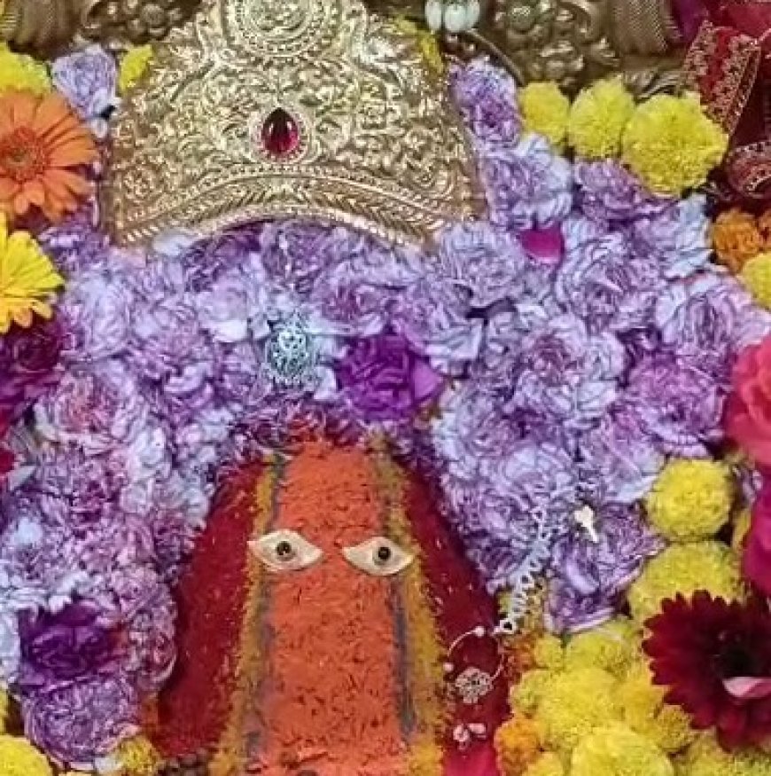पंजाब से आए श्रद्धालु ने अपनी मनोकामना पूर्ण होने पर माता रानी के चरणों में 11 तोले सोने का छत्र किया अर्पित  