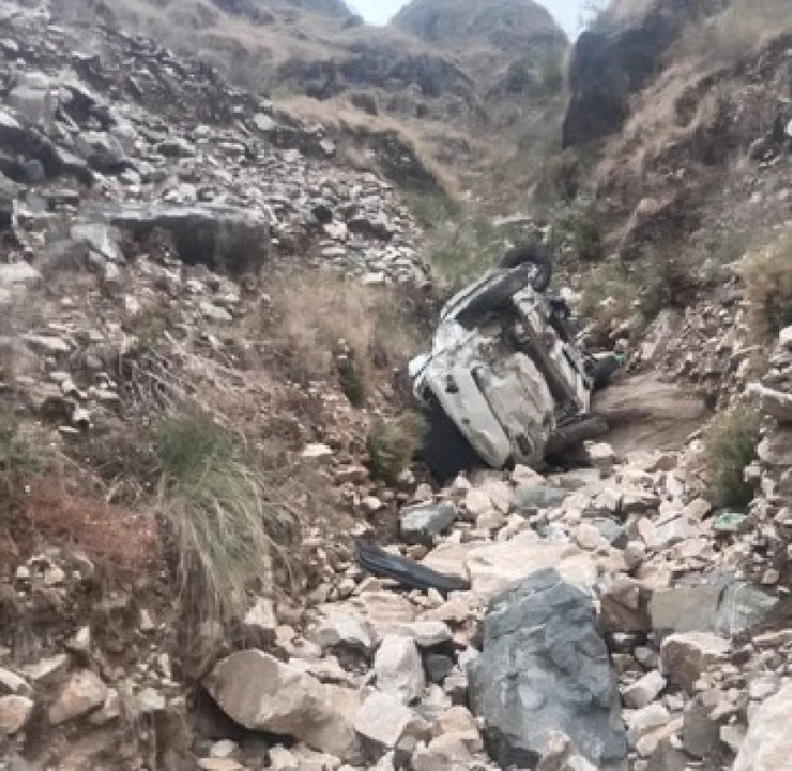 नौहराधार तहसील के चाढ़ना के समीप सड़क हादसे में दो लोगों की मौत,एक गंभीर रूप से घायल